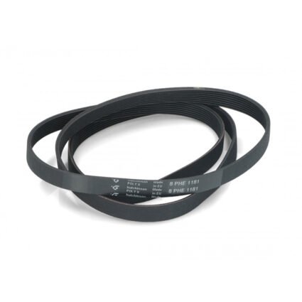 CINGHIA 1181H8 066521