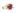 SELETTORE 12 P/ONI 41028011